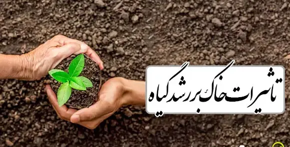 عکس گیاخاک