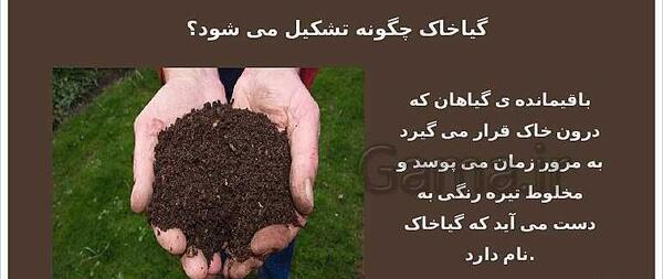 عکس گیاخاک