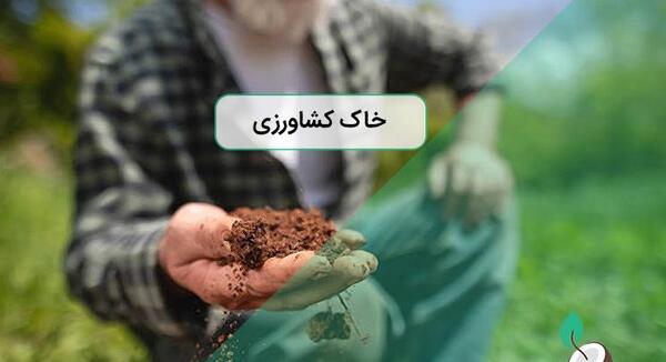 عکس گیاخاک