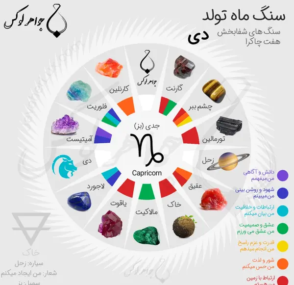 عکس سنگ ماهی ها