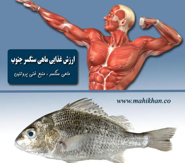 عکس سنگ ماهی ها