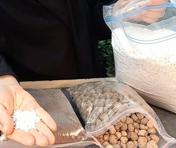عکس از خاک ماسه