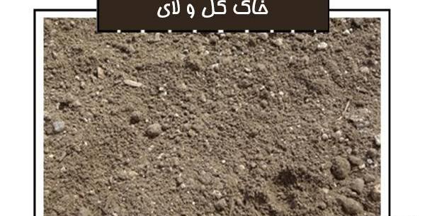 عکس خاک لومی شنی