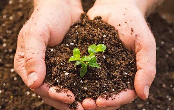 عکس خاک لومی شنی