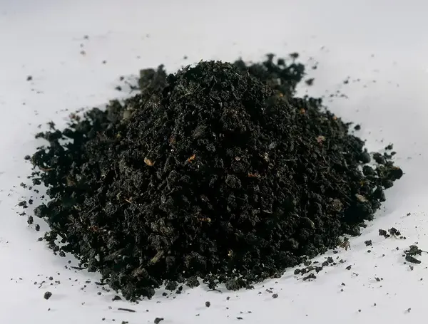 عکس خاک لومی شنی
