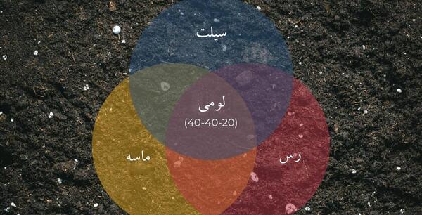 عکس خاک لومی شنی