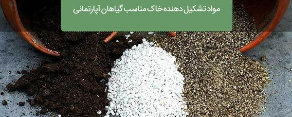 عکس خاک و گیاهان