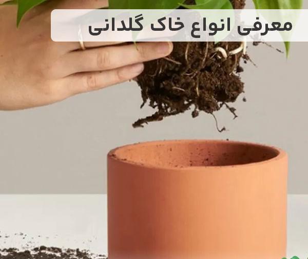 عکس خاک گل رس