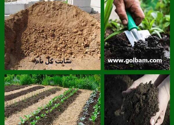 عکس خاک گلی