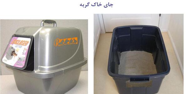 عکس جای خاک گربه