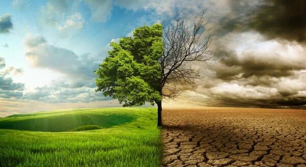 عکس در مورد فرسایش خاک