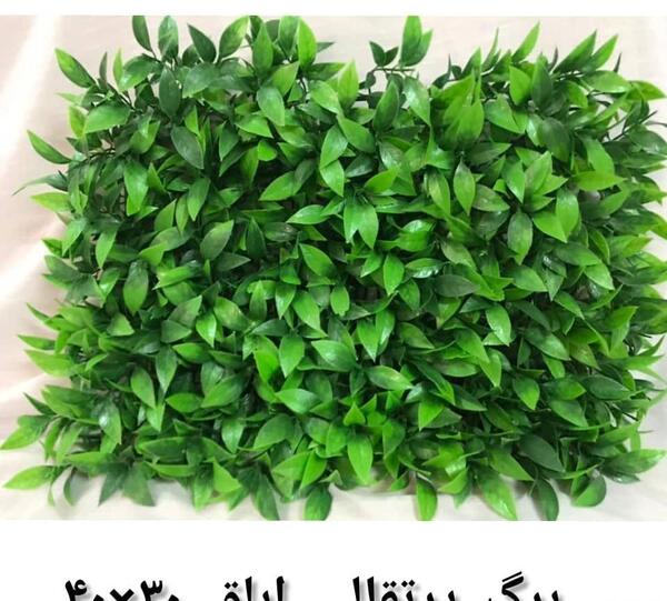 عکس سنگ ابلق