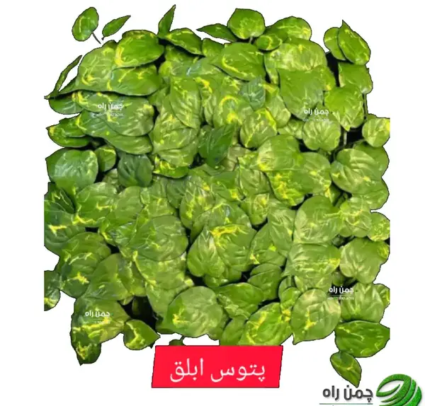 عکس سنگ ابلق