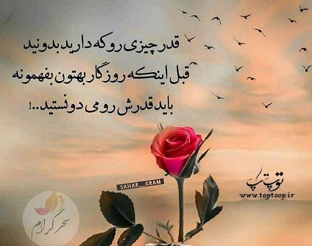 عکس نوشته قدر همو بدونید زیر خاک انتن نمیده