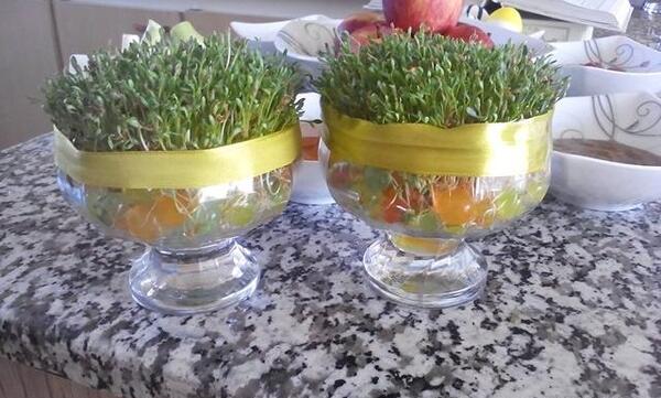 عکس سبزه عید با خاک ژله ای
