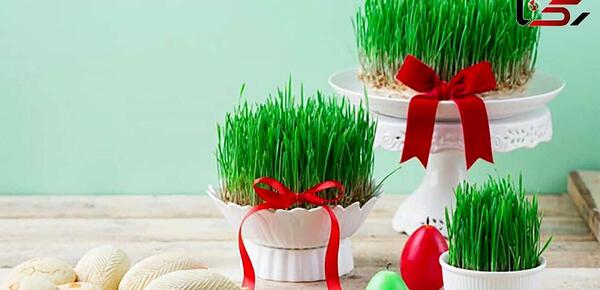 عکس سبزه عید با خاک ژله ای