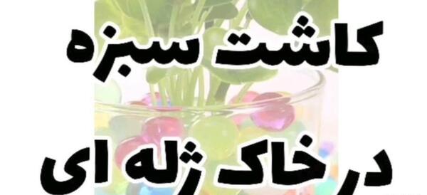 عکس سبزه عید با خاک ژله ای