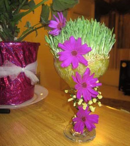 عکس سبزه عید با خاک ژله ای