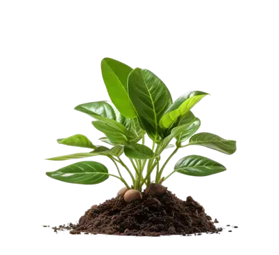 عکس خاک برای پس زمینه
