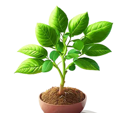 عکس خاک برای پس زمینه