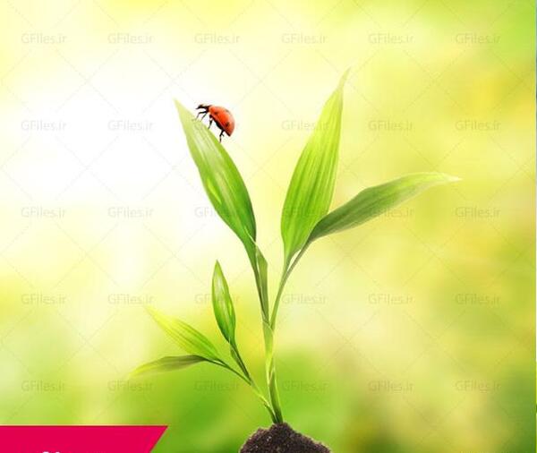 عکس خاک برای پس زمینه