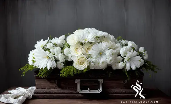 عکس گل روی خاک