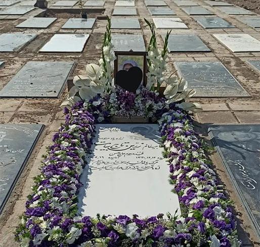 عکس گل روی خاک