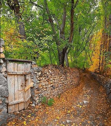 عکس بوی خاک باران خورده
