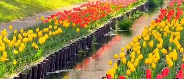 عکس بوی خاک باران خورده