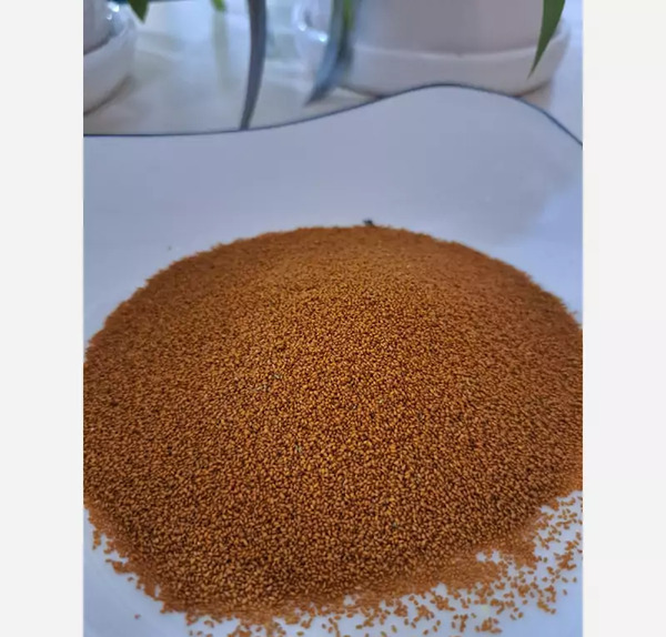 عکس خاکشیر نیوشا