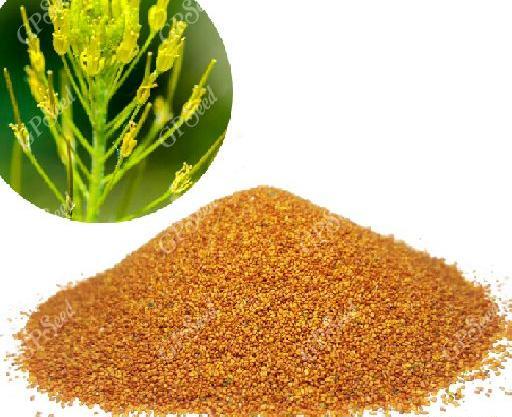 عکس خاکشیر ساده