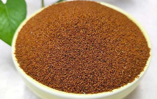 عکس خاکشیر ساده