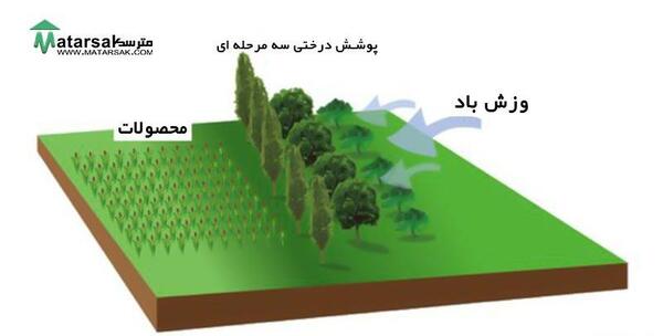 عکس حفاظت از خاک