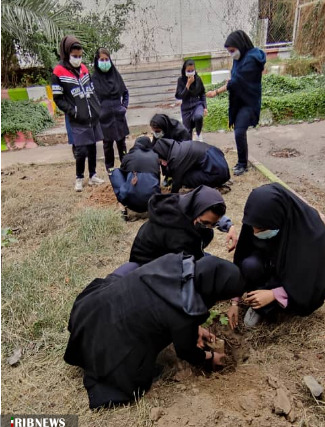 عکس حفاظت از خاک