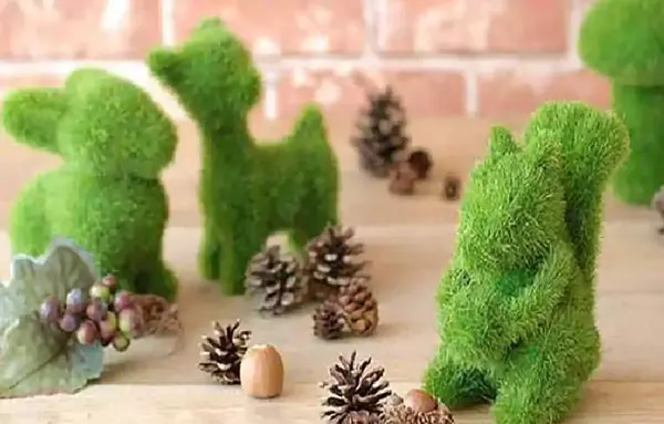 عکس خاکشیر سبزه عید