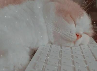 عکس خاکستری کیوت