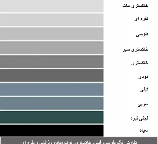 عکس خاکستری تیره