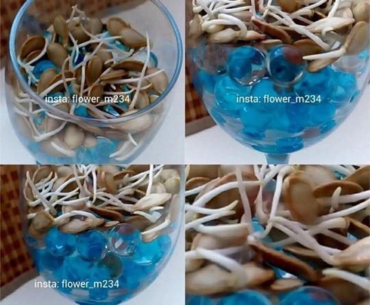 عکس خاک ژله ای مکعبی