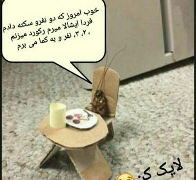 عکس خاک تو سری