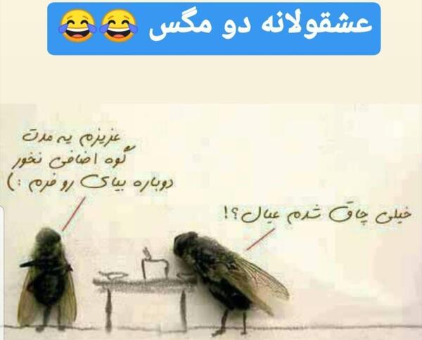 عکس های خاک تو سری زشت