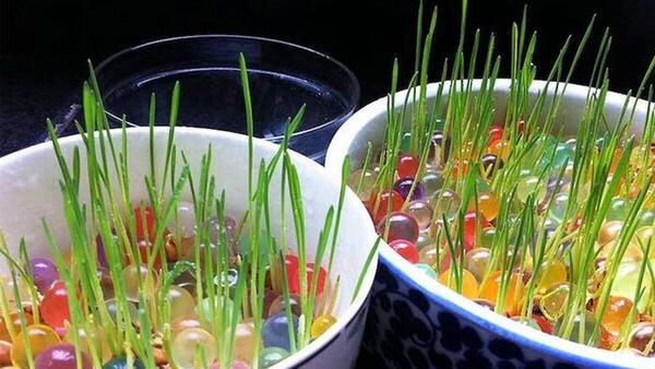 عکس خاک ژله ای سفید