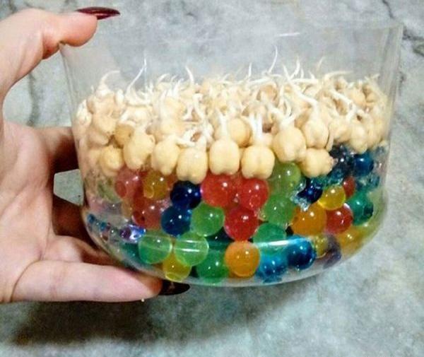 عکس خاک ژله ای سفید