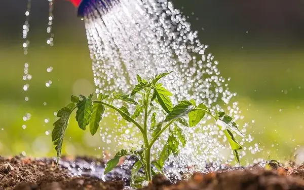 عکس آب و خاک