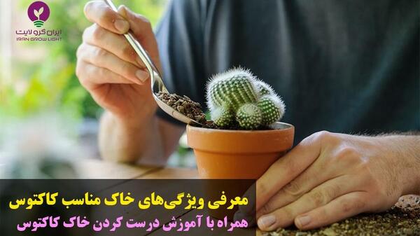 عکس خاک بر سری در ایران