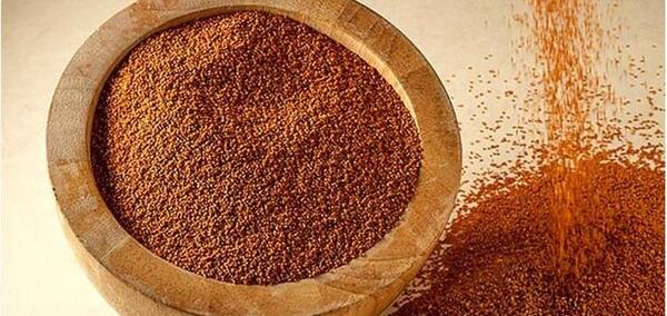 عکس خاکشیر در آب