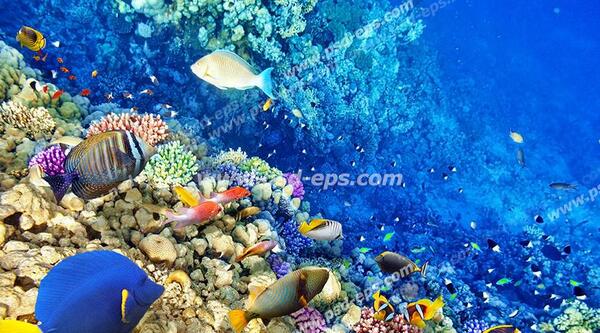 عکس سنگ های زیبای کنار دریا