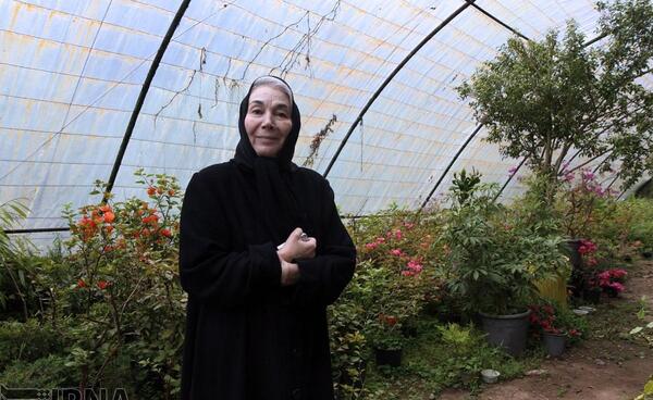 عکس سنگ قبر پروانه معصومی