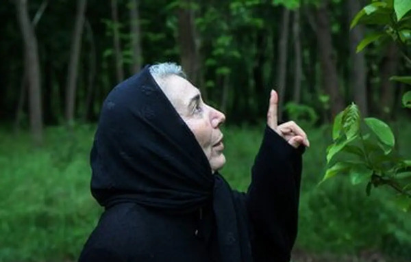 عکس سنگ قبر پروانه معصومی