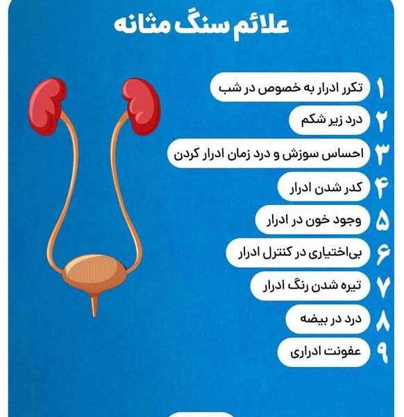عکس سنگ کلیه در مثانه