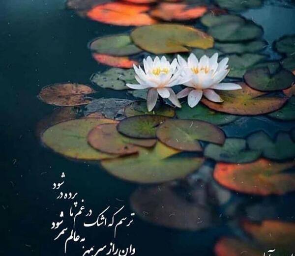 عکس نوشته گویند که سنگ لعل شود در مقام صبر